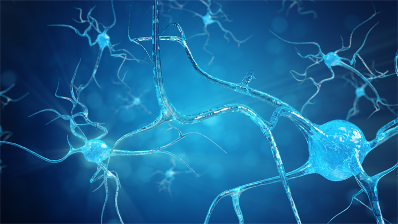 Bioethicus oferece curso de introdução à Terapia Neural